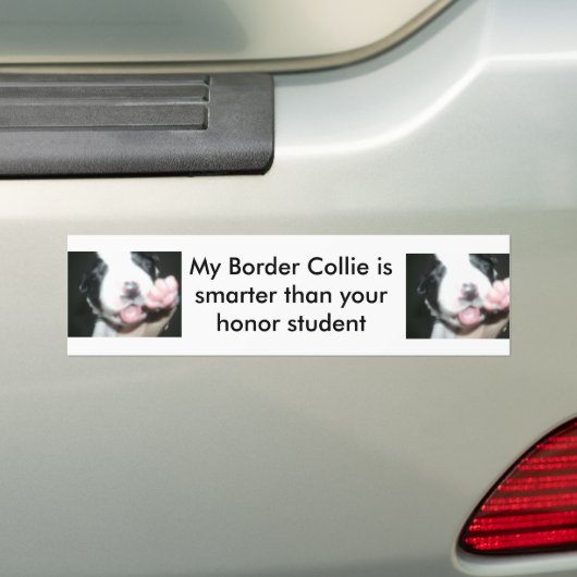 Meine Border-Collie ist intelligenter, als Ihre Autoaufkleber (Auf Auto)