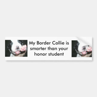 Meine Border-Collie ist intelligenter, als Ihre Autoaufkleber