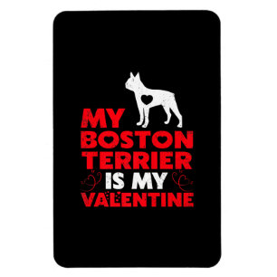 Meine Boston Terrier ist meine Valentine Boston Te Magnet