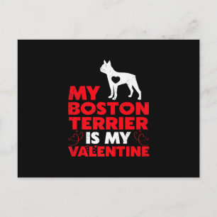 Meine Boston Terrier ist meine Valentine Boston Te Postkarte