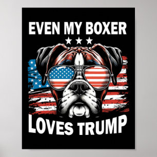 Meine Boxer-Lieben Trump Poster