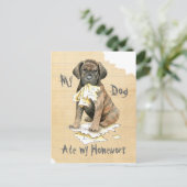 Meine Cane Corso Ate meine Hausaufgaben Postkarte (Stehend Vorderseite)