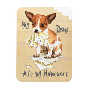 Meine Chihuahua Ate Meine Hausaufgaben Magnet