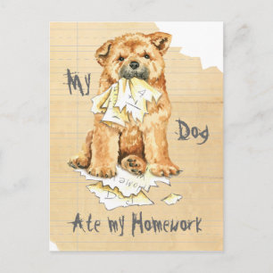 Meine Chow Chow hat meine Hausaufgaben Postkarte