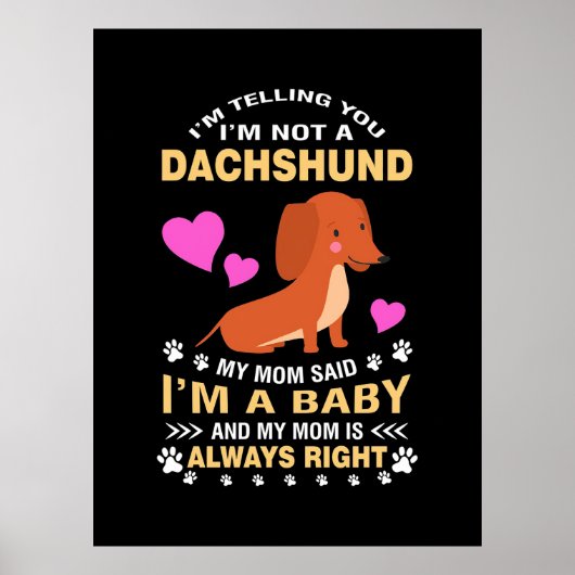 Meine Dackel ist mein Baby Poster (Vorne)