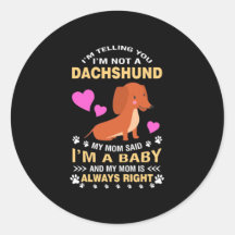 Meine Dackel ist mein Baby