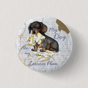 Meine Dackel nahm meinen Lektionsplan auf Button