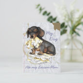 Meine Dackel nahm meinen Lektionsplan auf Postkarte (Stehend Vorderseite)