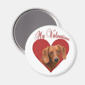 Meine Dackel Valentine Magnet (Vorderseite/Rückseite)