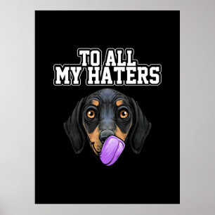 Meine Dackeln auf meine Hasser Poster