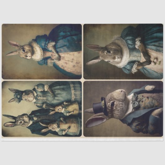 Meine Damen und Herren, Gewebepapier von Rabbit Seidenpapier (Vorderseite)