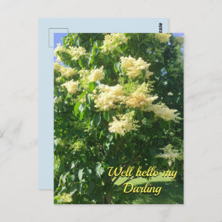 Meine Darling Postcard Postkarte