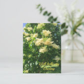 Meine Darling Postcard Postkarte (Stehend Vorderseite)