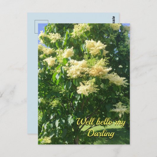 Meine Darling Postcard Postkarte (Vorne/Hinten)