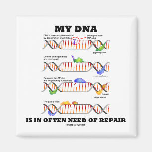 Meine DNA ist häufig im Bedarf der Reparatur Magnet
