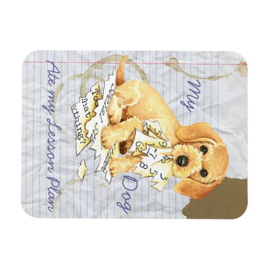 Meine Drahthaar-Dackel hat meinen Lektionsplan gel Magnet (Horizontal)