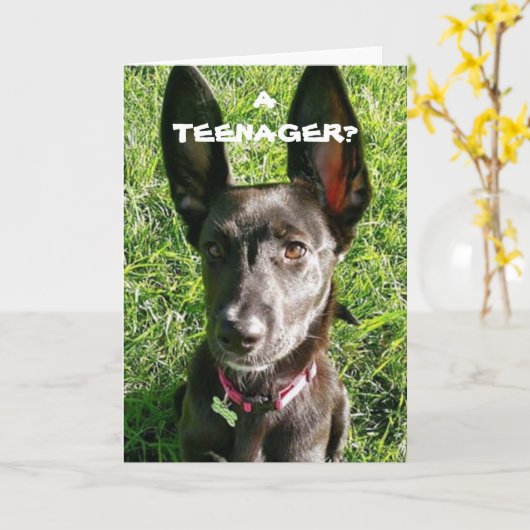 MEINE "EARS" SICHERHEIT GEHT IN DIE HAND "13. GEBU KARTE (Gelbe Blume)