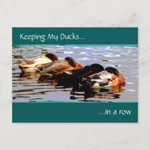 Meine Enten in einer Reihe behalten Postkarte