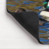 Meine Enten in einer Reihe bekommen: Vier Büfetts Mousepad (Ecke)