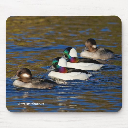 Meine Enten in einer Reihe bekommen: Vier Büfetts Mousepad (Vorne)