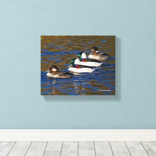 Meine Enten in einer Reihe bekommen: Vier Büffelkö Leinwanddruck (Insitu (Holzboden))