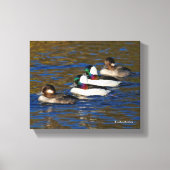 Meine Enten in einer Reihe bekommen: Vier Büffelkö Leinwanddruck (Vorderseite)