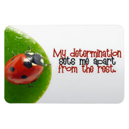 "Meine Entschlossenheit" Motivation Affirmation fl Magnet