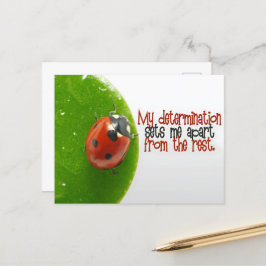 "Meine Entschlossenheit" Motivation Affirmation Postkarte