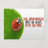 "Meine Entschlossenheit" Motivation Affirmation Postkarte (Vorderseite)