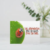 "Meine Entschlossenheit" Motivation Affirmation Postkarte (Stehend Vorderseite)