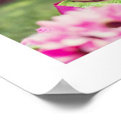 Meine erste FotoCollage Poster (Ecke)