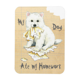 Meine Eskie Ate Meine Hausaufgaben Magnet