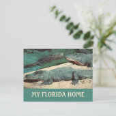 Meine Florida Zuhause Gator Postkarte (Stehend Vorderseite)