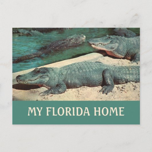 Meine Florida Zuhause Gator Postkarte (Vorderseite)