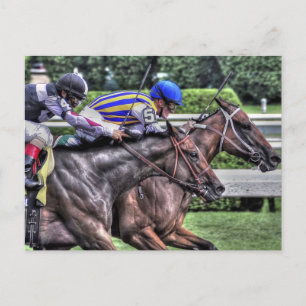 Meine Frau Aurelia "The Adirondack" Postkarte