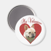 Meine Frenchie Valentine Magnet (Vorderseite/Rückseite)