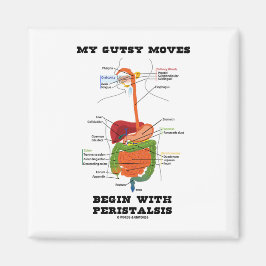 Meine Gemüsebewegungen beginnen mit Peristalsis (D Magnet