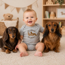 Meine Geschwister sind Langhaar-Wiener-Dachshunde