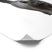 Meine Hauskatze Print Funny Cat T - Shirt 4 Buchst Poster (Ecke)