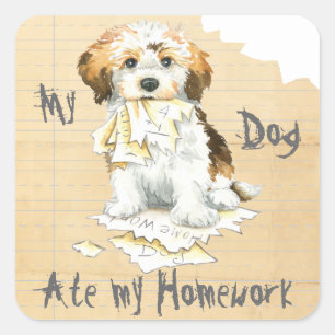 Meine Havanese Ate My Hausaufgaben Quadratischer Aufkleber