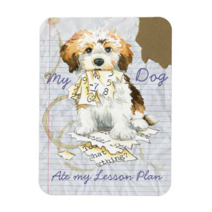 Meine Havanese Ate My Lessingplan Magnet