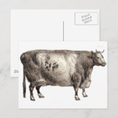 Meine Heimrinde (Bull oder Kuh) Postkarte (Vorne/Hinten)
