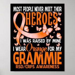 Meine Helden ich Orange für meine Grammie Rsd Crps Poster
