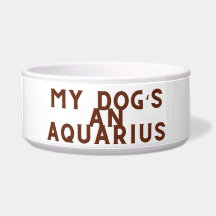 Meine Hunde und Aquarius