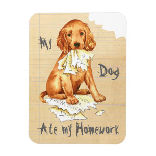 Meine irische Setter Ate meine Hausaufgaben Magnet