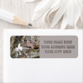 Meine Jagdkatze (Insitu)