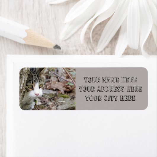 Meine Jagdkatze (Insitu)