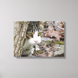 Meine Jagdkatze Leinwanddruck