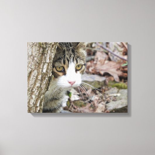 Meine Jagdkatze Leinwanddruck (Vorderseite)