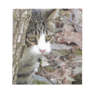 Meine Jagdkatze Notizblock